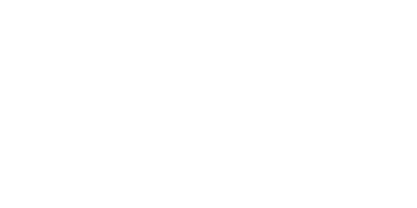 V-페이 logo